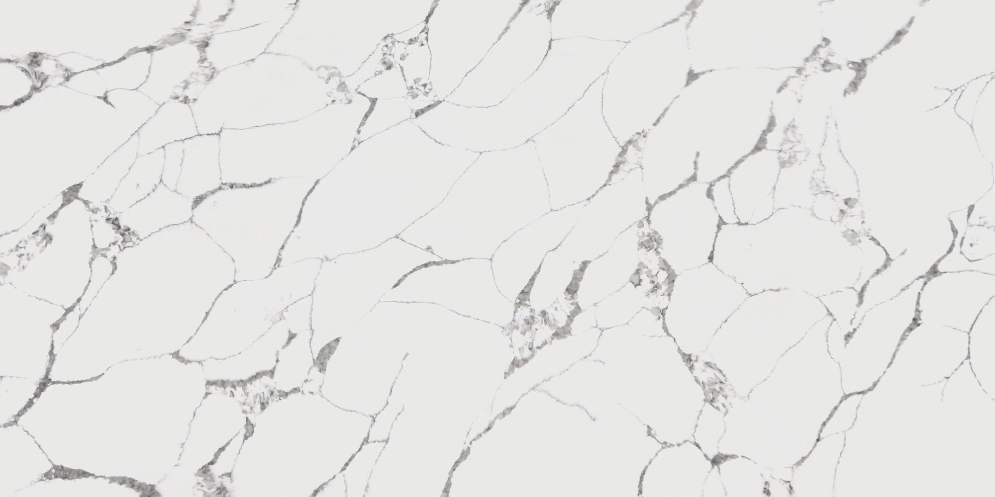 Full slab of Calacatta Forest
